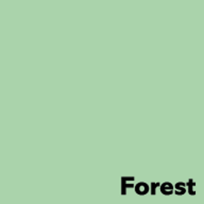 Image Coloraction A4 PASTEL GREEN 160g 250ark 1/200