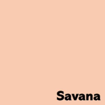 Image Coloraction A4 PALE SALMA 80g 500ark 1/200